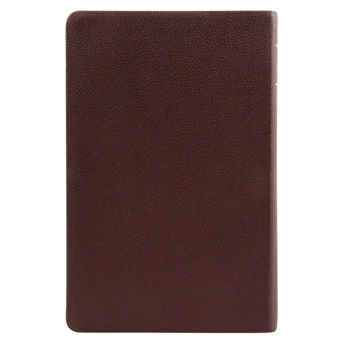 KJV Personal Size Filament Enabled Bible Giant Print (Genuine Leather)