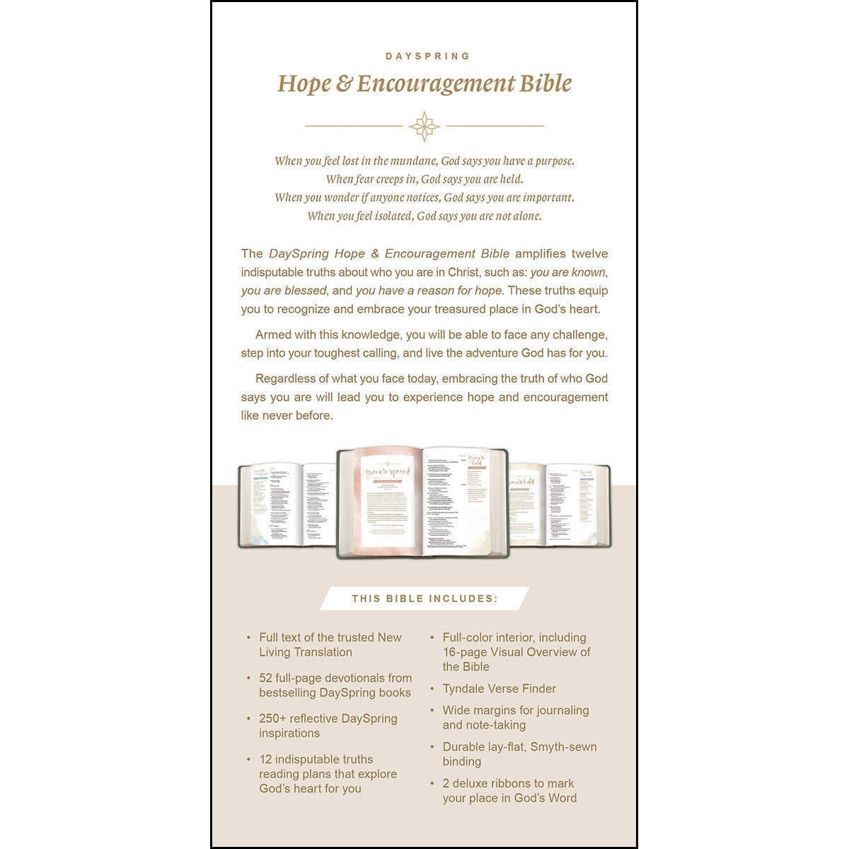 NLT DaySpring Hope & Encouragement Bible, Seafoam Green (Hardcover)