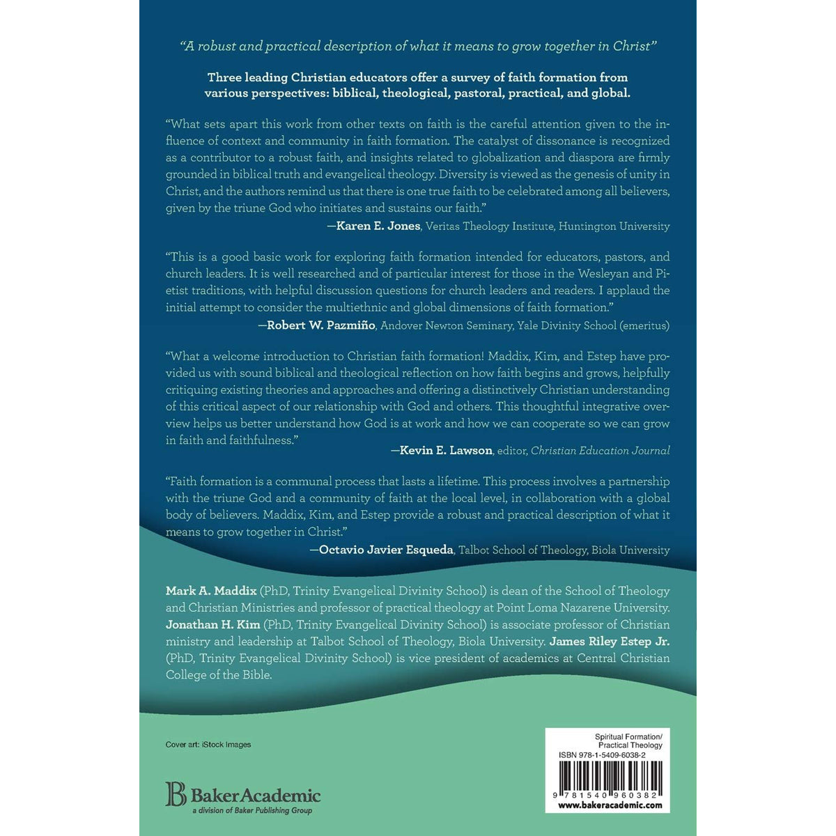 Understanding Faith Formation: Theological, Congregational And Global Dimensions (Paperback)