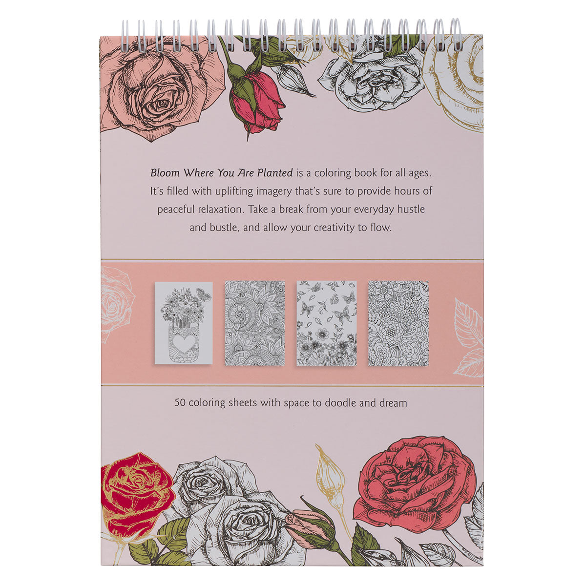 Bloom Where You Are Planted Coloring Burgundy (Spiral-Bound)