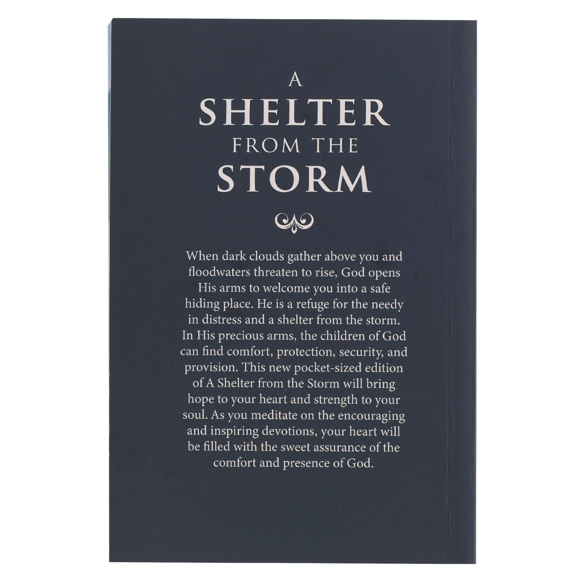 A Shelter From The Storm (Paperback)