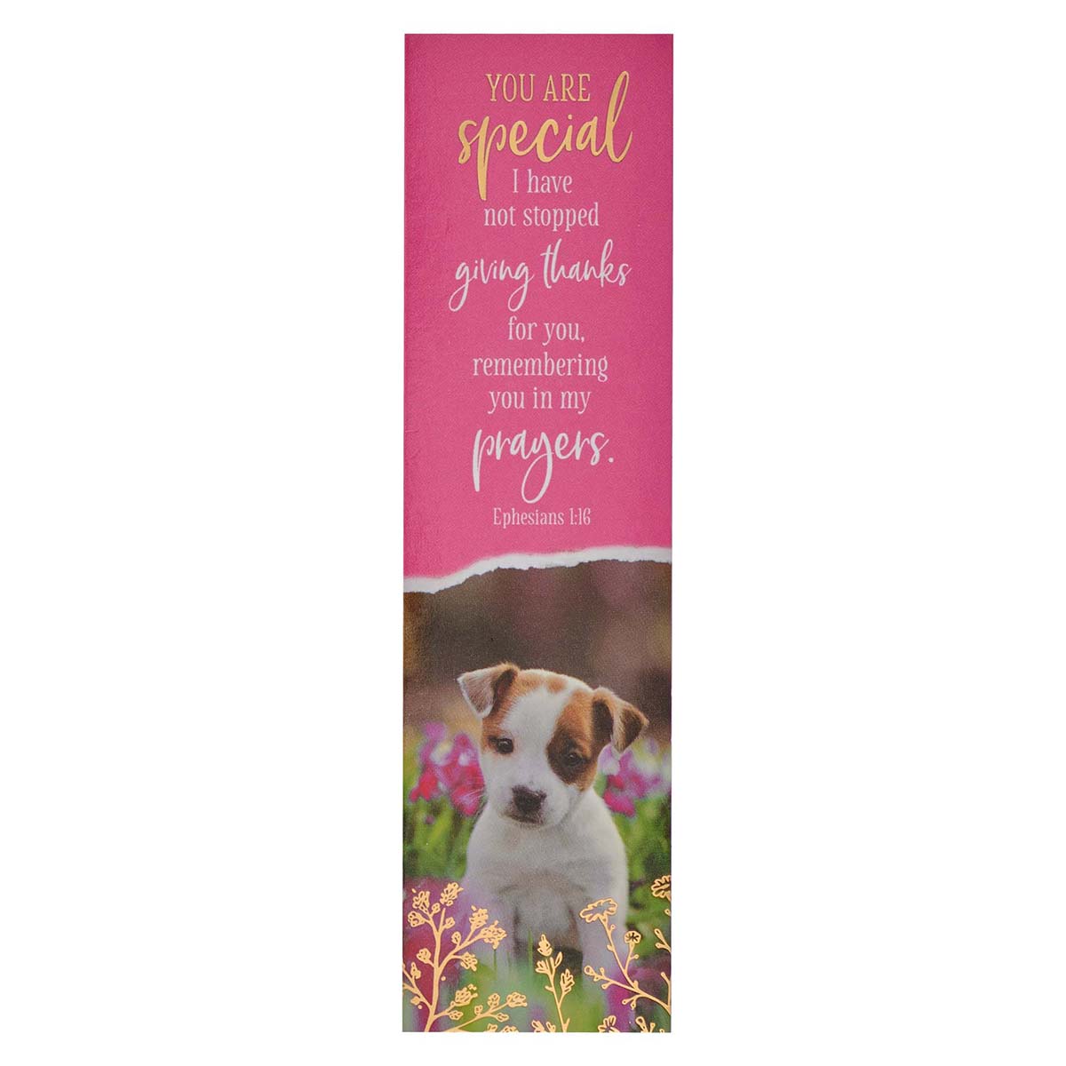 You Are Special Ephesians 1:16 Pink (Pack Of 10)(Sunday School Bookmark)