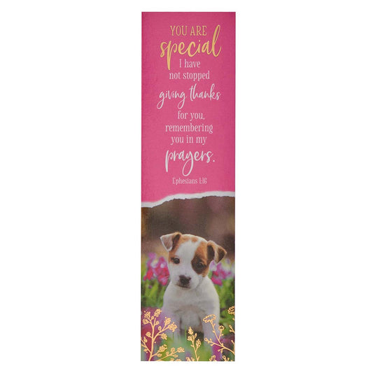 You Are Special Ephesians 1:16 Pink (Pack Of 10)(Sunday School Bookmark)