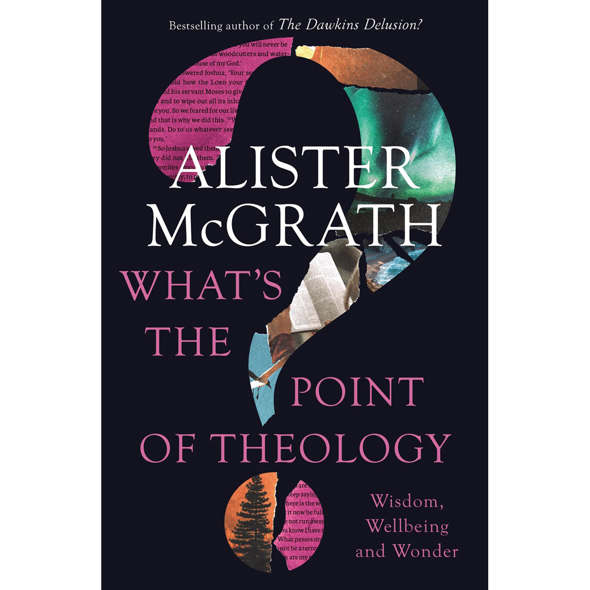 What's The Point Of Theology?: Wisdom, Wellbeing And Wonder (Paperback)