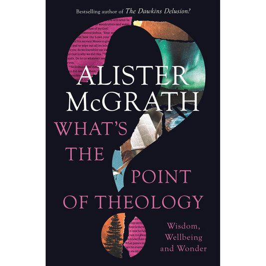 What's The Point Of Theology?: Wisdom, Wellbeing And Wonder (Paperback)