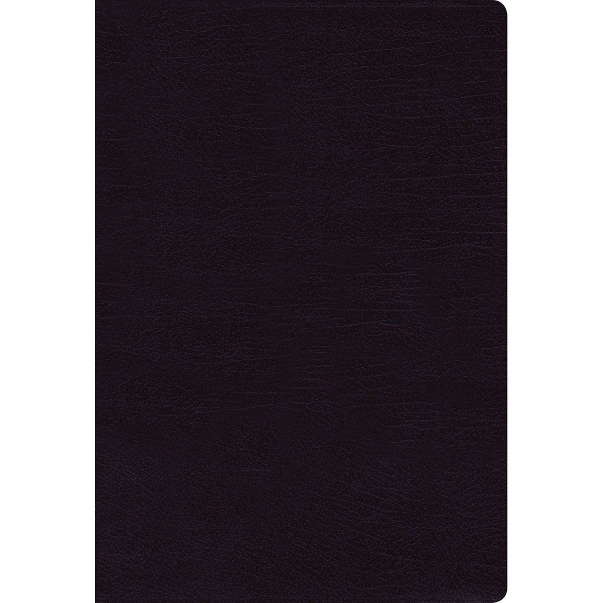 NIV Thinline Bible Giant Print Black Indexed Red Letter Edition (Comfort Print)(Bonded Leather)