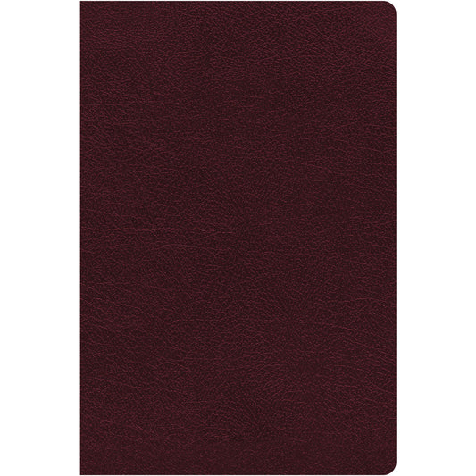 NIV Thinline Reference Red Letter Burgundy (Comfort Print)(Bonded Leather)