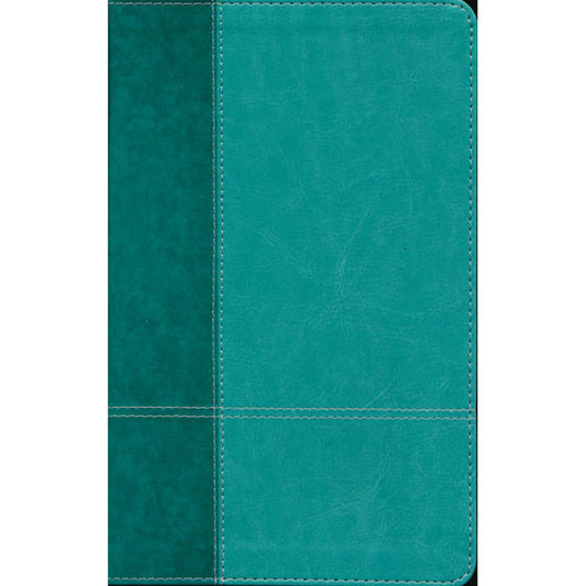 NIV P / Size Ref Large Print Red Letter Blue (Comfort Print)(Imitation Leather)