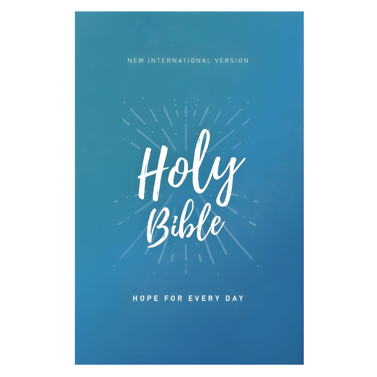 NIV Holy Bible Economy Edition (Comfort Print)(Paperback)