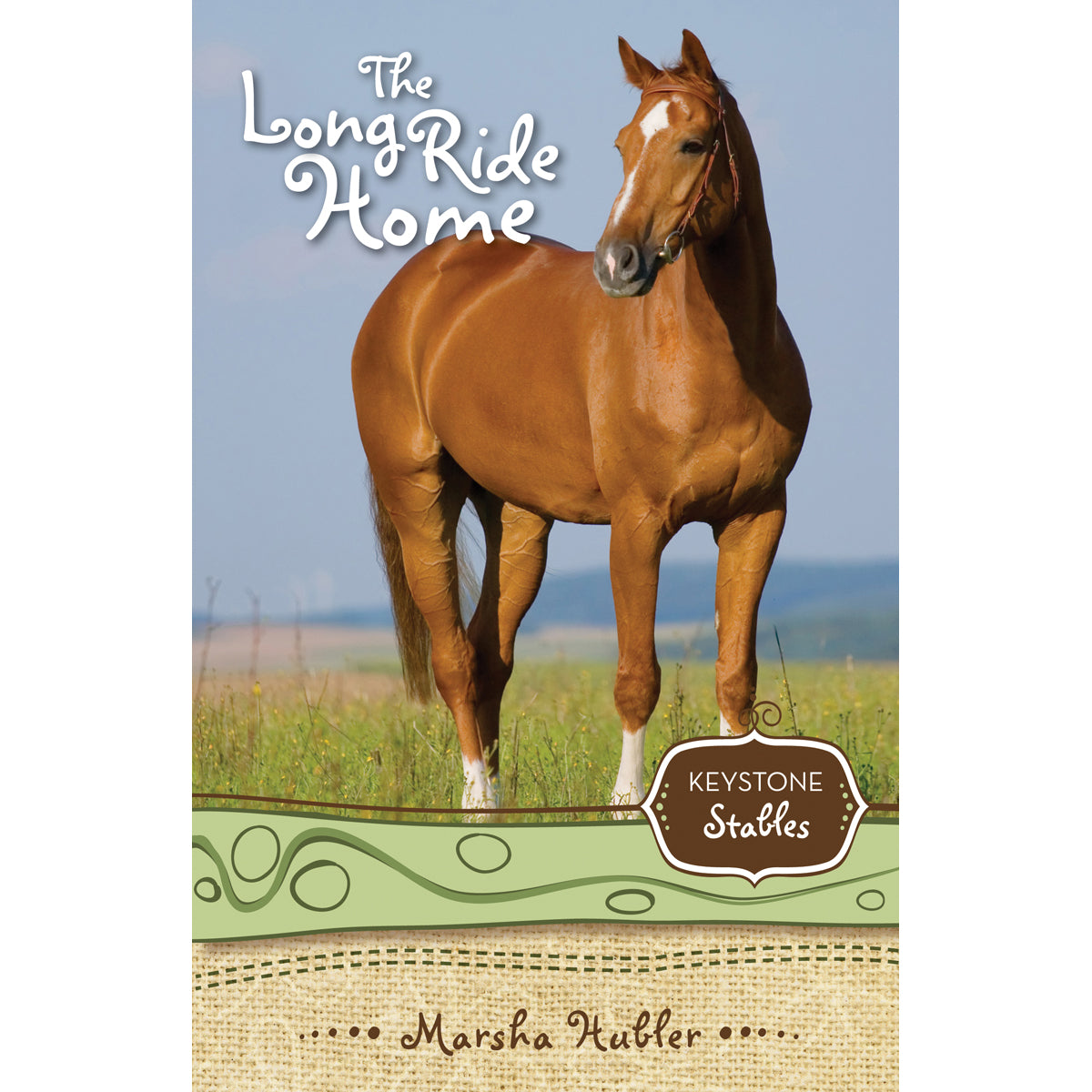 The Long Ride Home (Paperback)