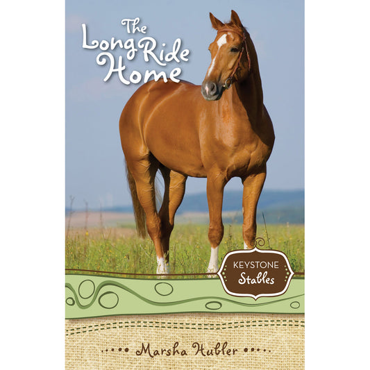 The Long Ride Home (Paperback)