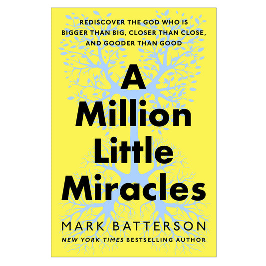 A Million Little Miracles: Rediscover the God Who Is Bigger than Big HC