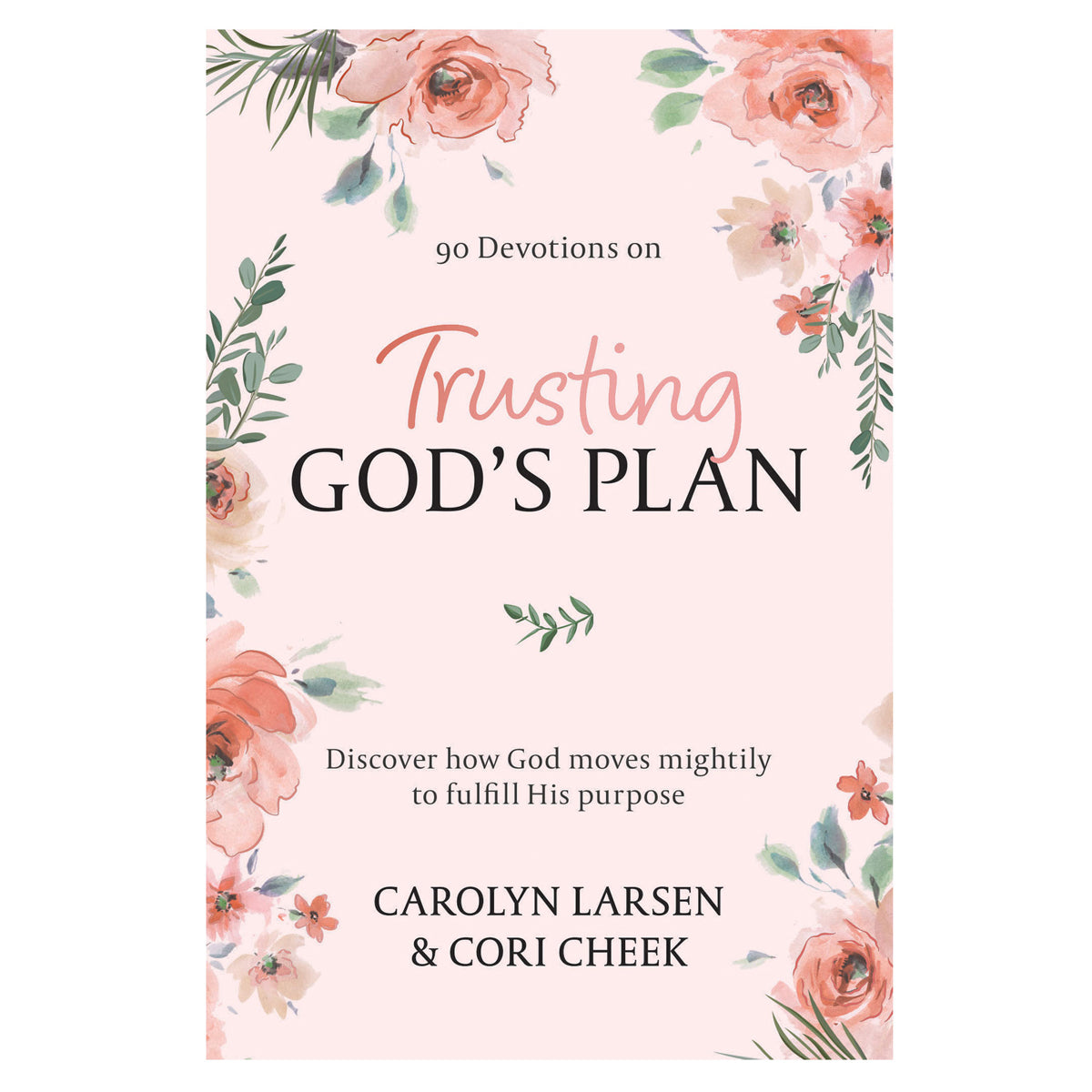 Trusting God's Plan (Hardcover)