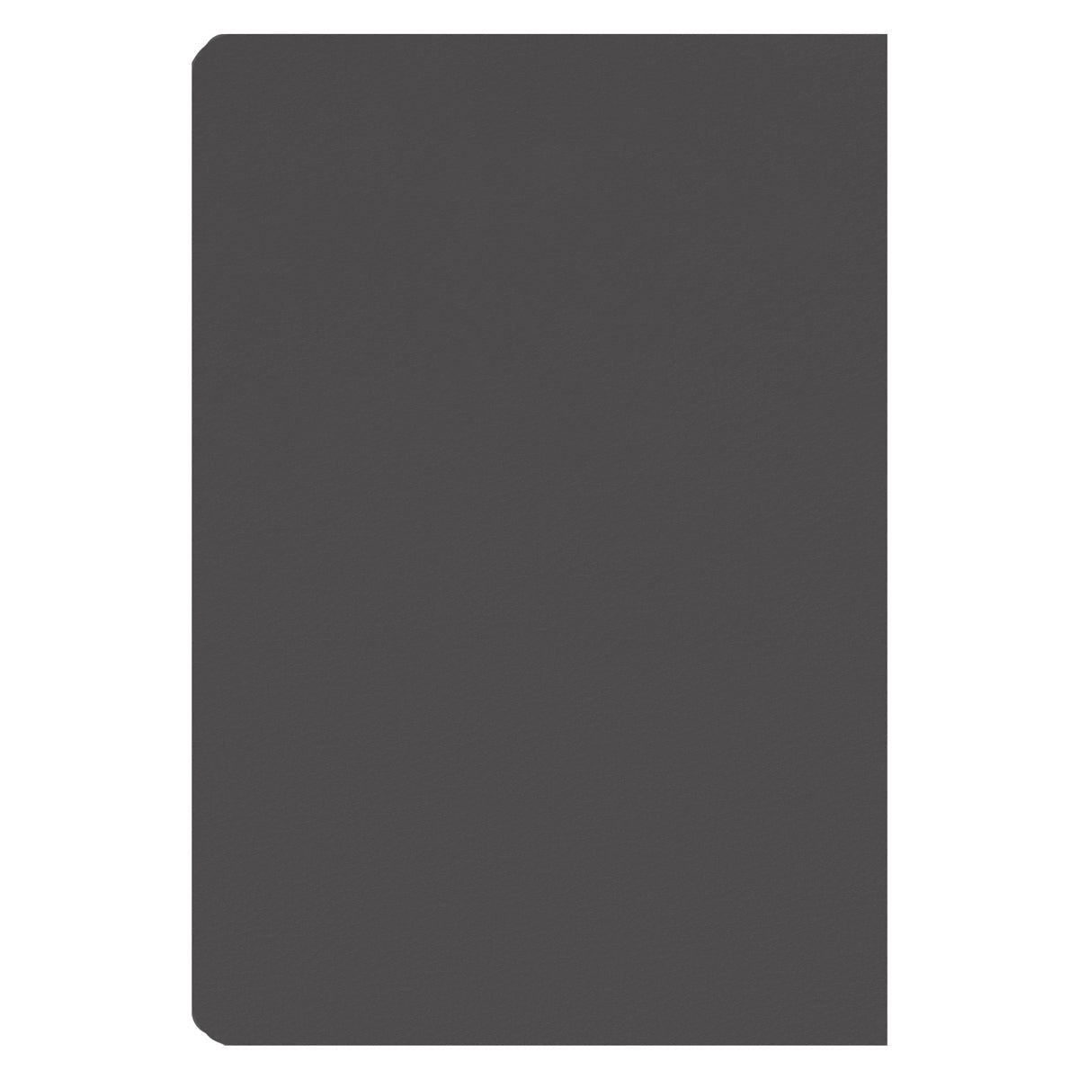 2025 Diary - Chronos Daily Planner - A Time for Everything Grey - Faux Leather