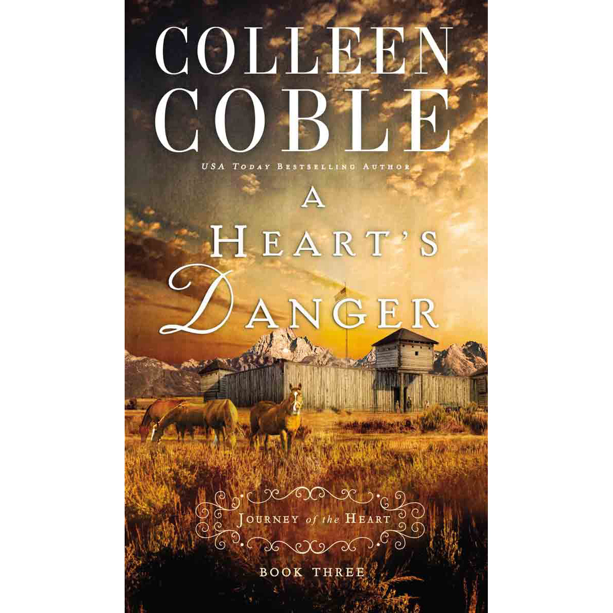 A Heart's Danger (Paperback)