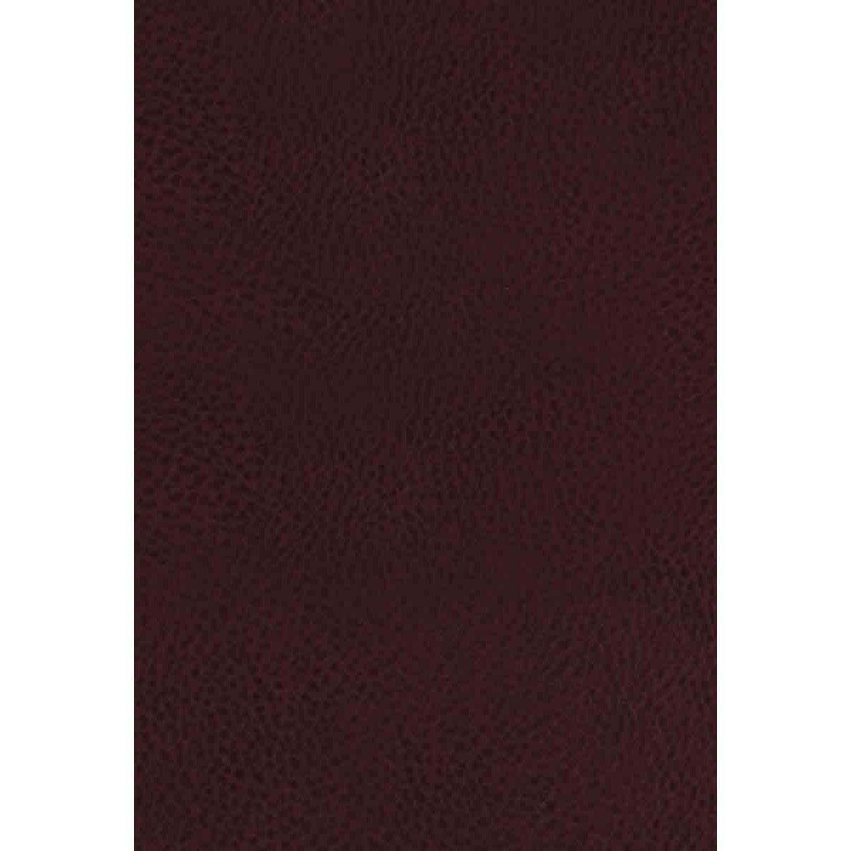 KJV Study Indexed Bible Burgundy (Bonded Leather)