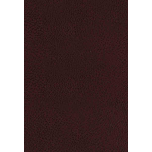 KJV Study Indexed Bible Burgundy (Bonded Leather)