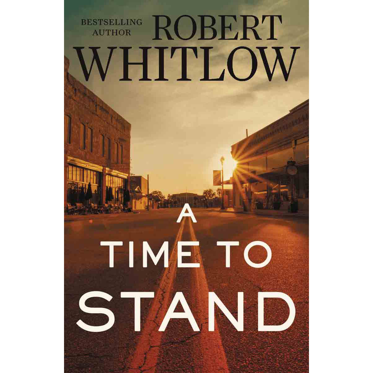 A Time To Stand (Paperback)