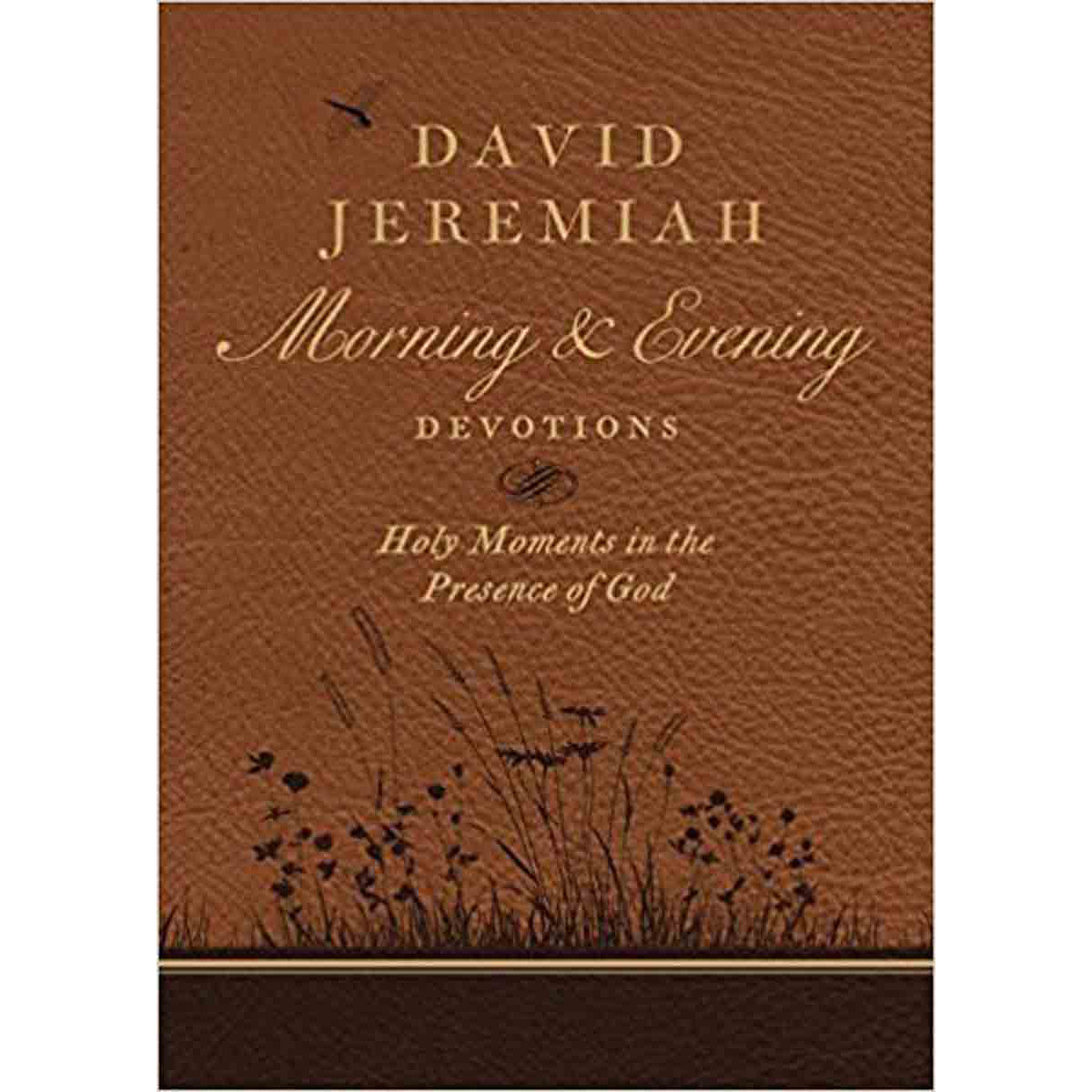 David Jeremiah Morning And Evening Devotions: Holy Moments In The Presence Of God (Hardcover)