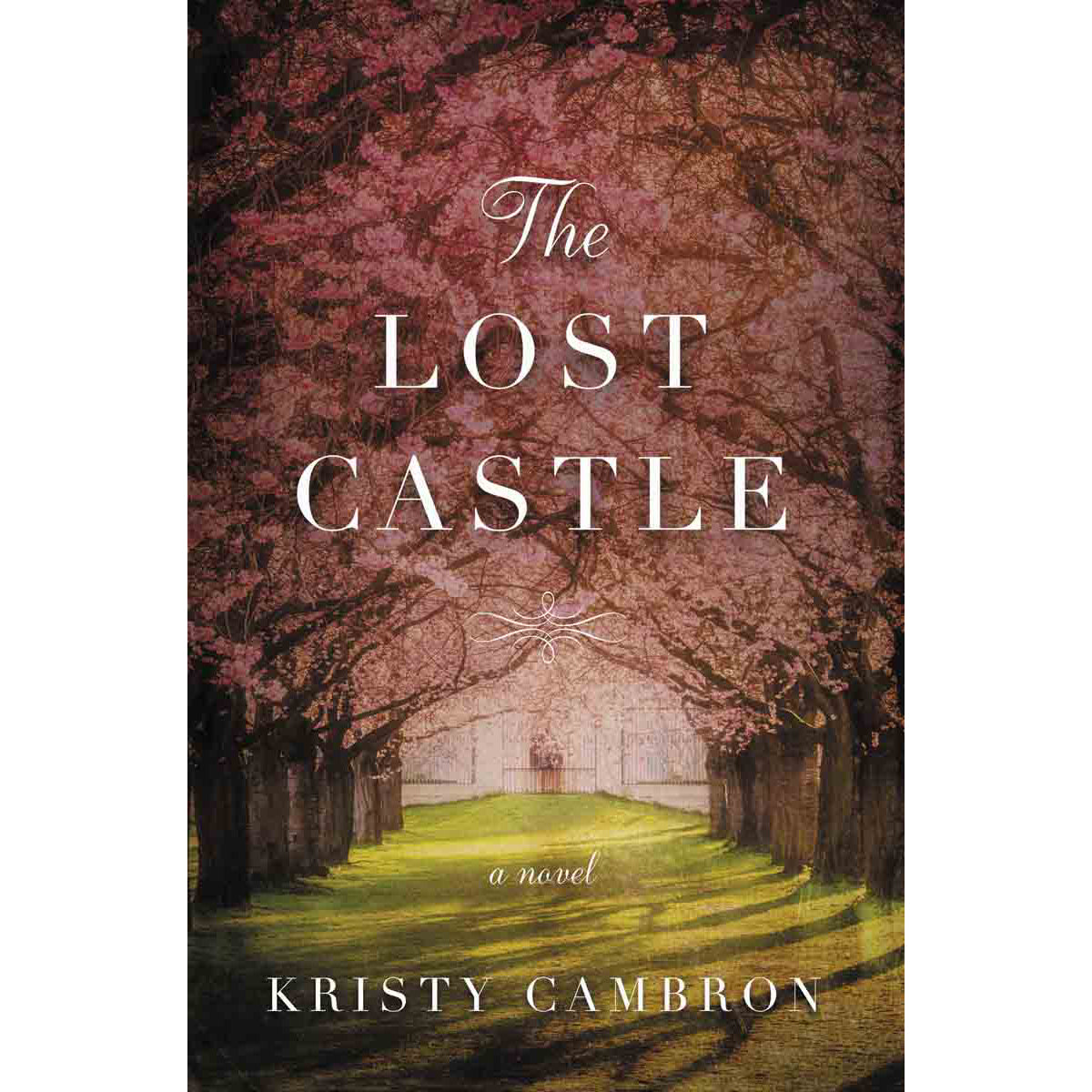 The Lost Castle: A Split Time Romance (Paperback)