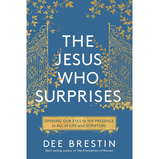 The Jesus Who Surprises (Paperback)
