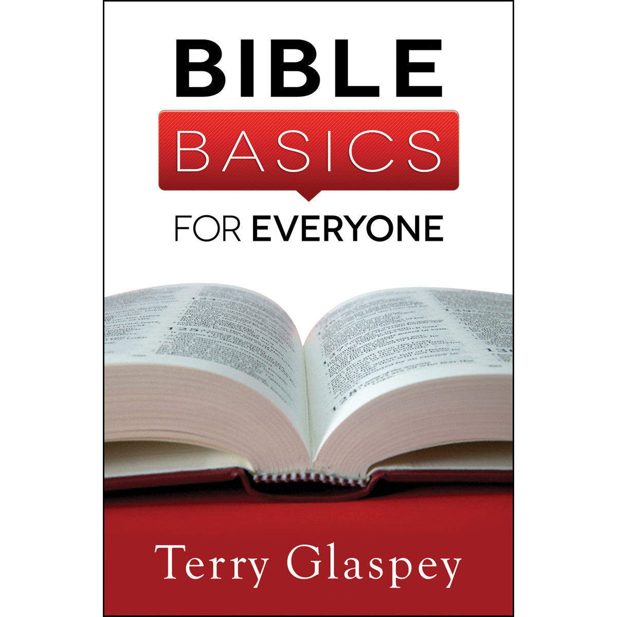 Bible Basics For Everyone (Mass Market Paperback)