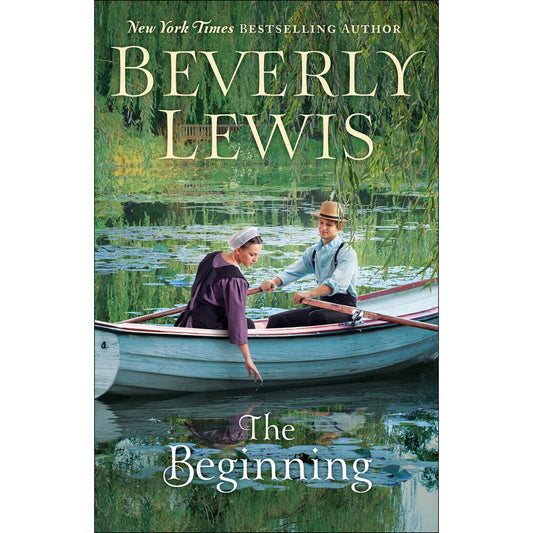 The Beginning (Paperback)