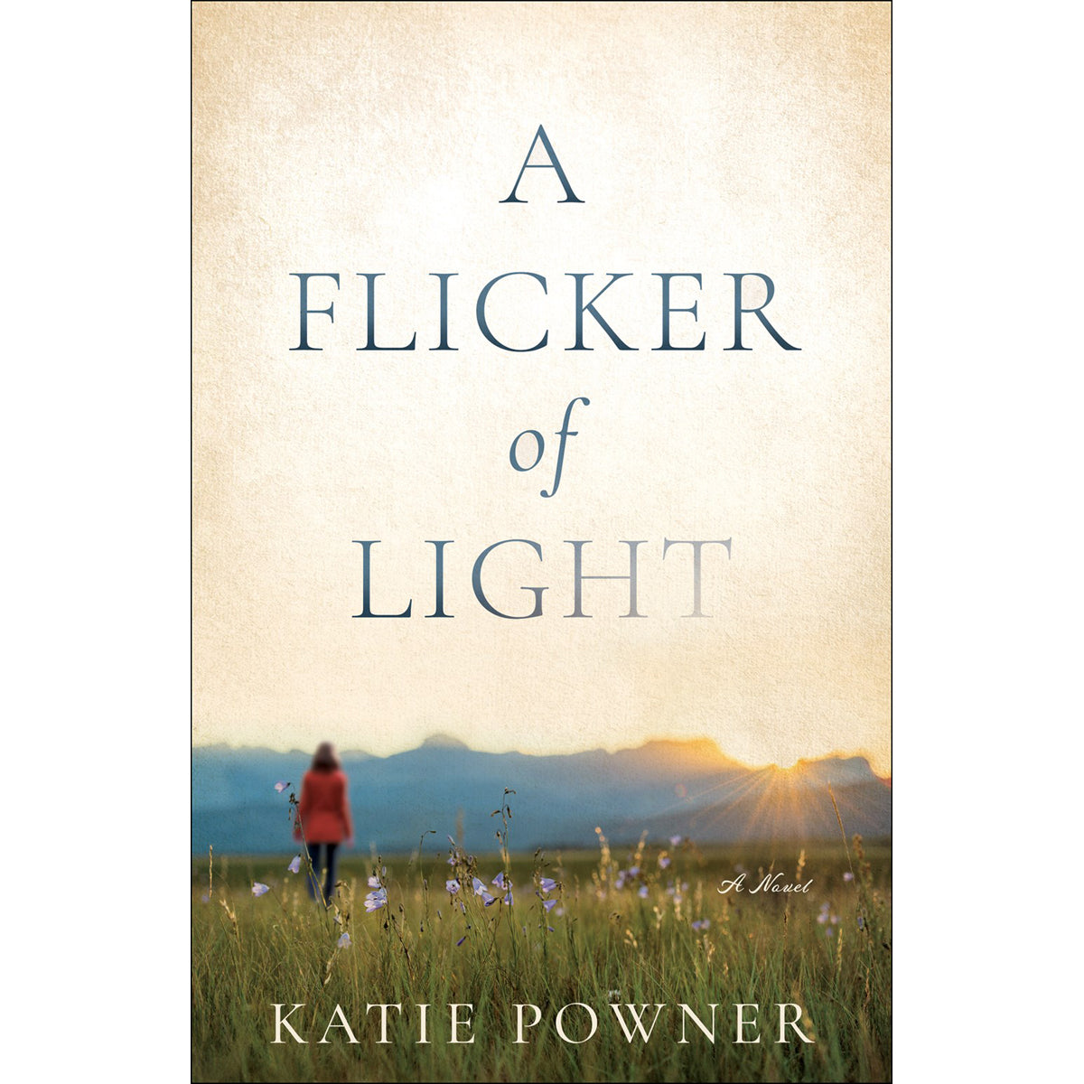 A Flicker Of Light (Paperback)