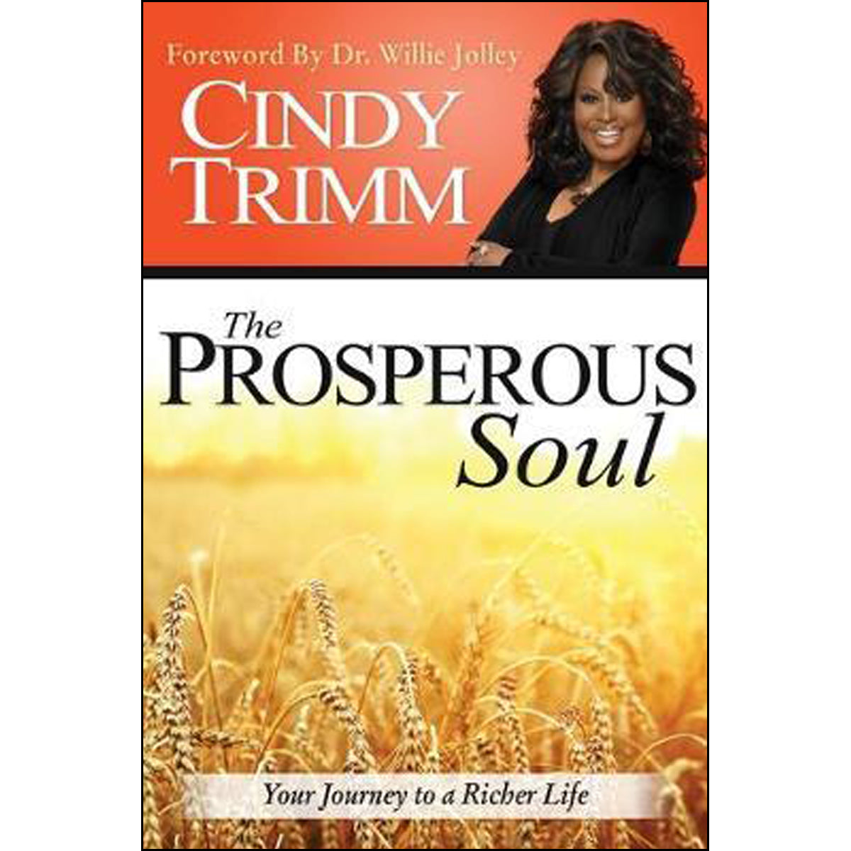 The Prosperous Soul (Paperback)