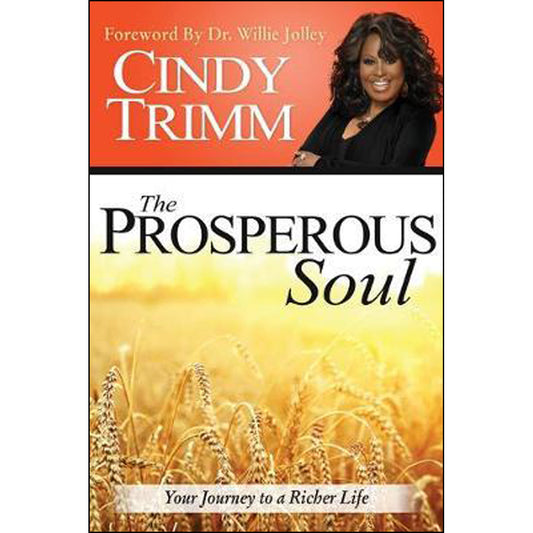 The Prosperous Soul (Paperback)