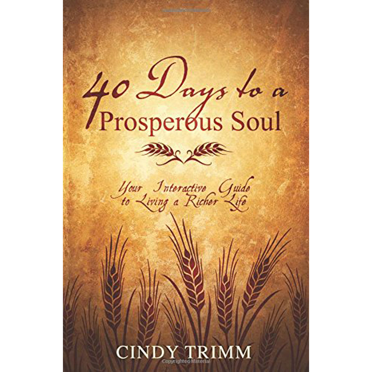 40 Days To A Prosperous Soul (Paperback)
