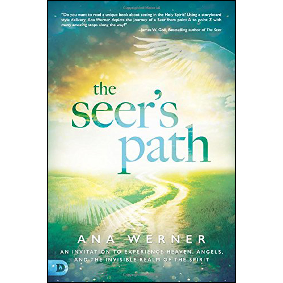 The Seers Path (Paperback)
