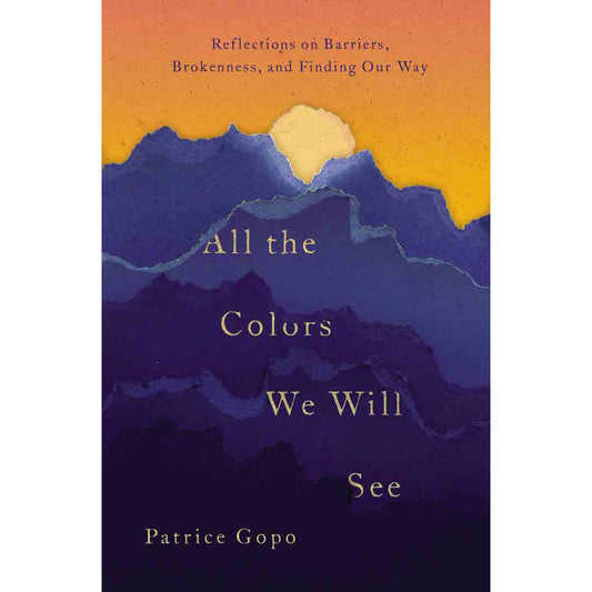 All The Colors We Will See: Reflections On Barriers Brokenness (Paperback)