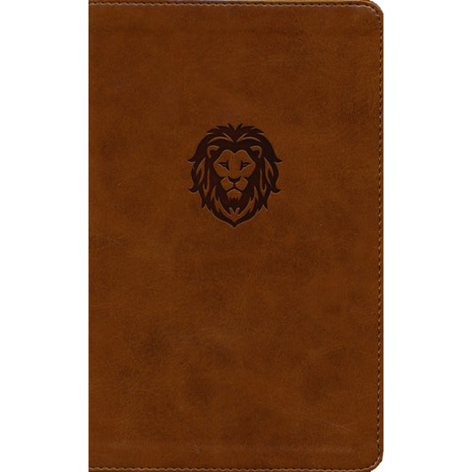 KJV Thinline Bible Youth Edition Red Letter Brown (Comfort Print)(Imitation Leather)