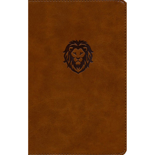 NKJV Thinline Bible Youth Red Letter Brown (Comfort Print)(Imitation Leather)