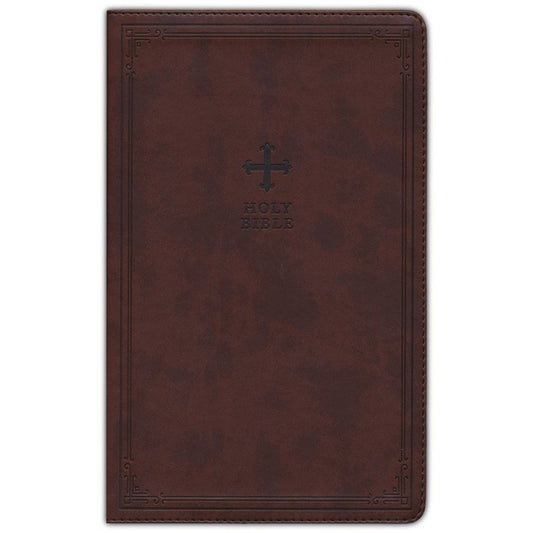 NRSV Catholic Gift Edition Brown (Comfort Print)(Imitation Leather)