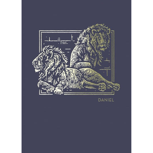 NET Abide Bible Journal Daniel (Comfort Print)(Paperback)