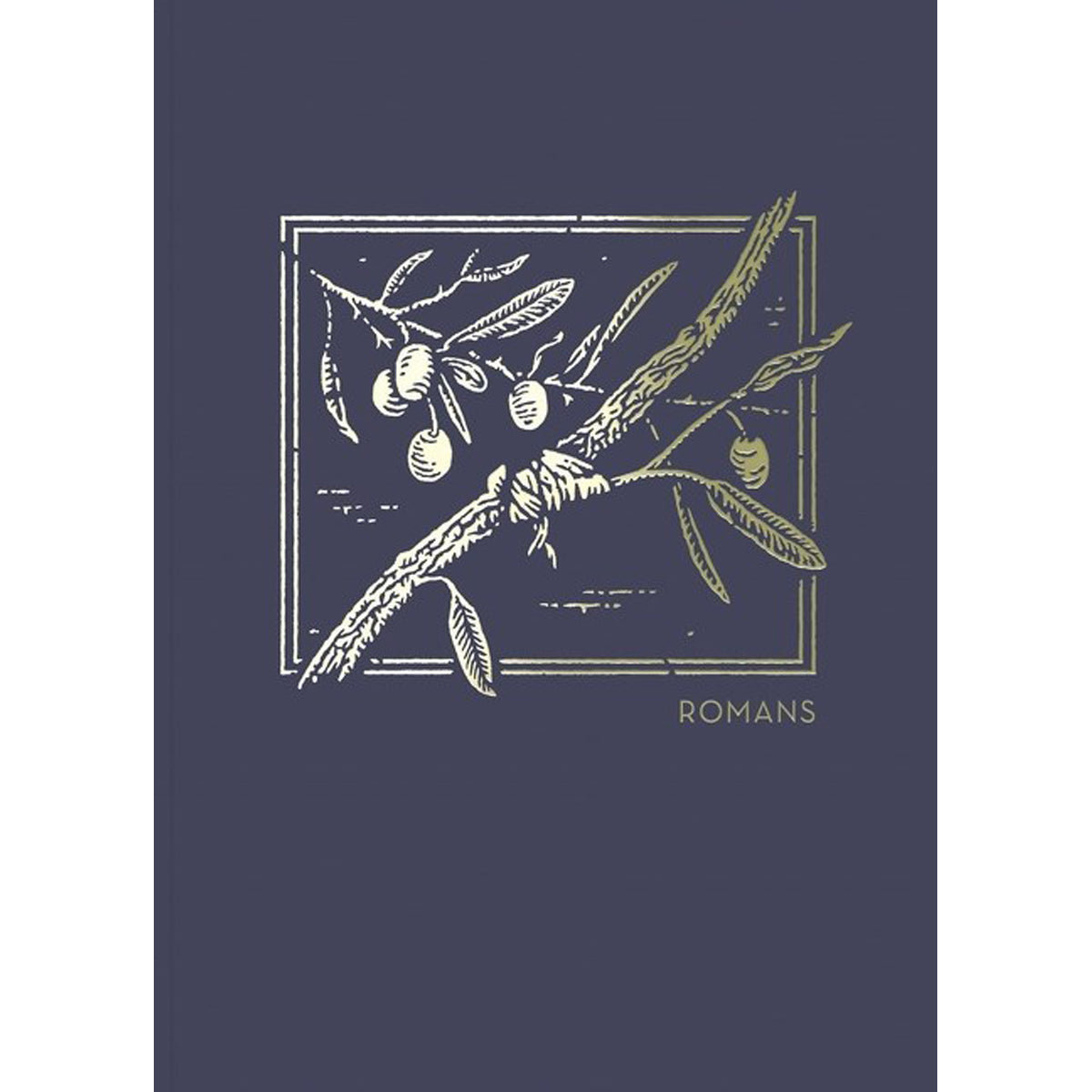 NET Abide Bible Journal Romans (Comfort Print)(Paperback)