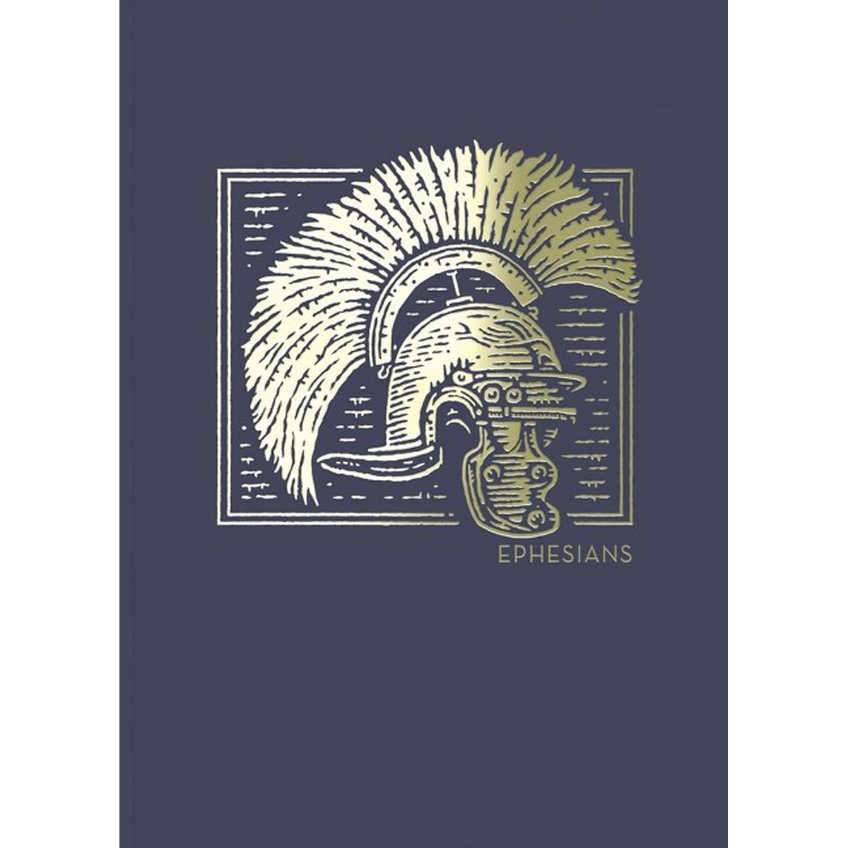 NET Abide Bible Journal Ephesians (Comfort Print)(Paperback)