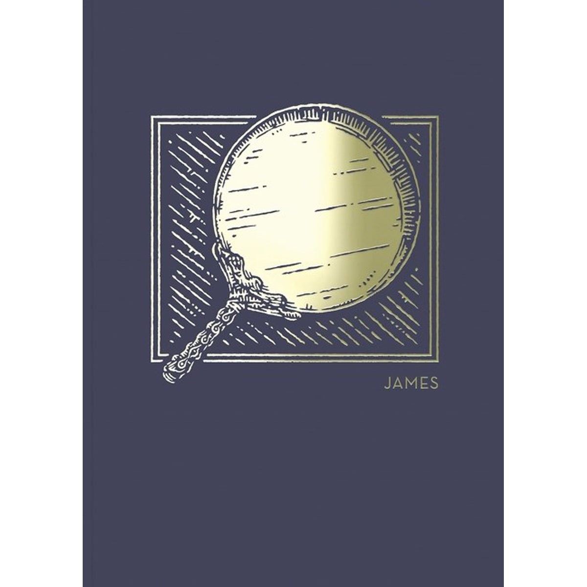 NET Abide Bible Journal James (Comfort Print)(Paperback)