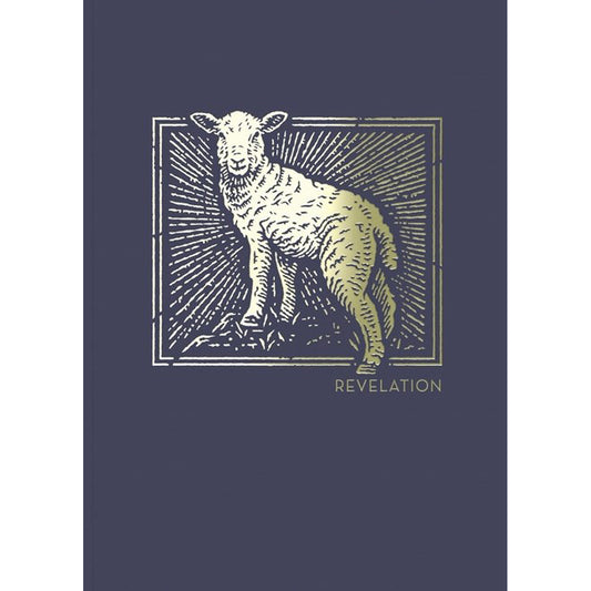 NET Abide Bible Journal Revelation (Comfort Print)(Paperback)