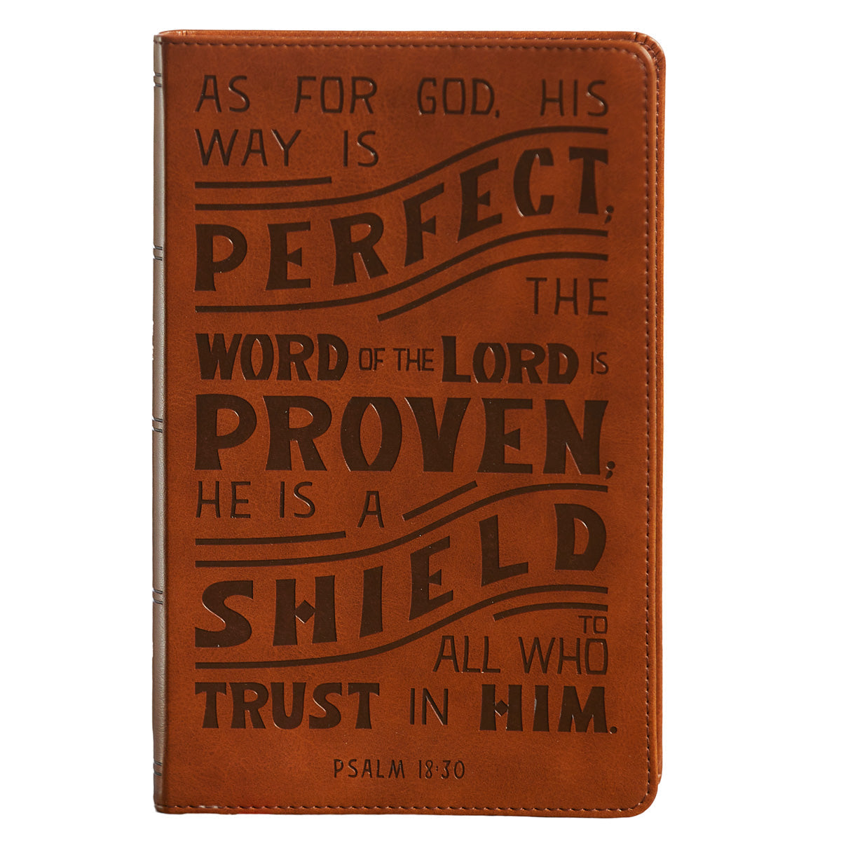 NKJV Personal Size Reference Bible Tan (Comfort Print)(Verse Art Cover)(Imitation Leather)