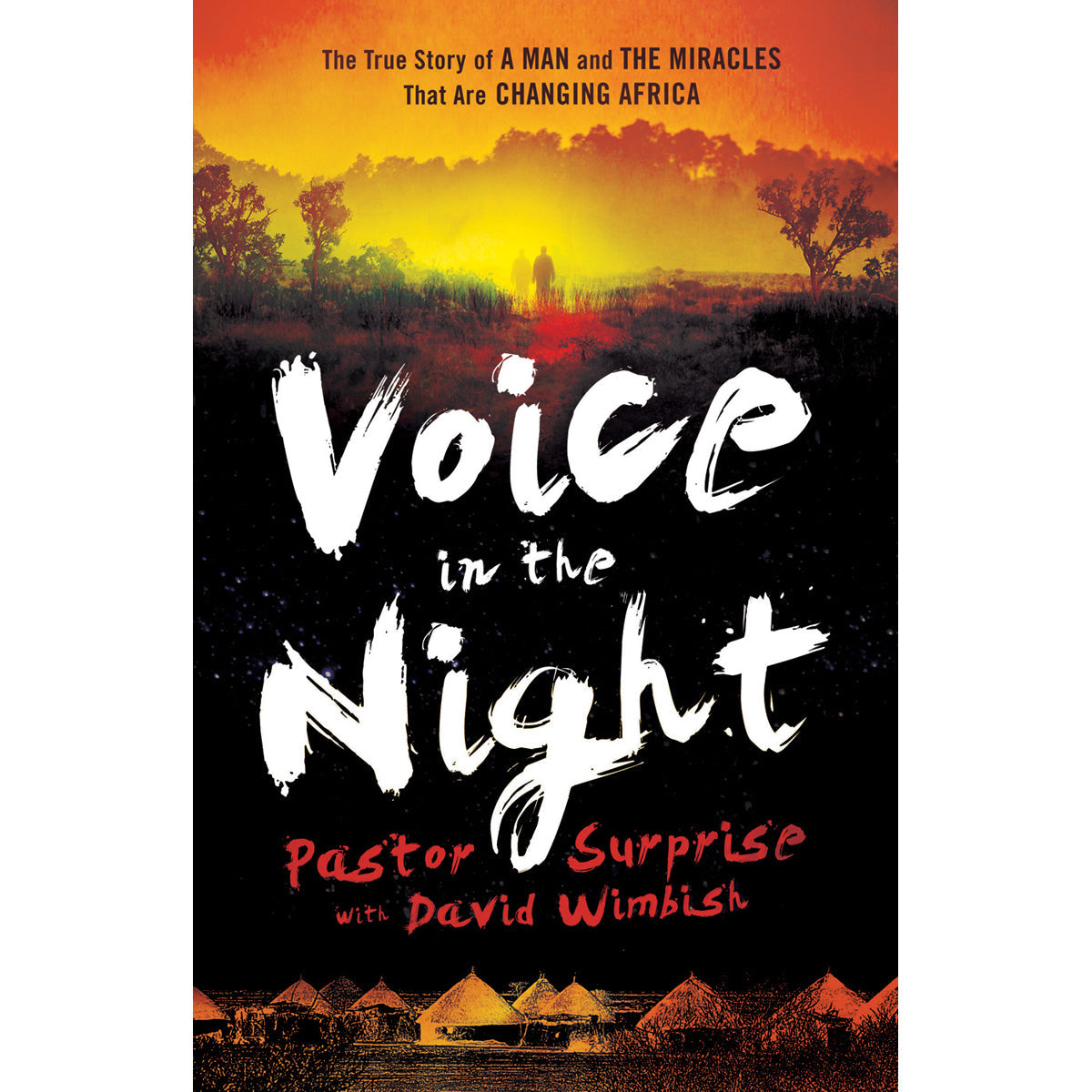 Voice In The Night (Paperback)