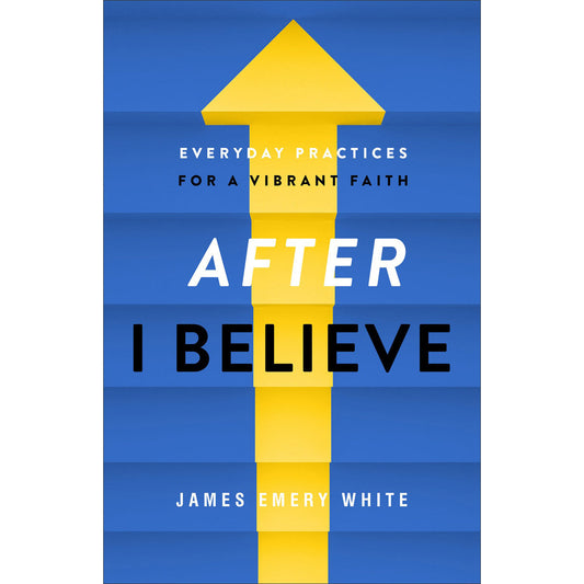 After "I Believe": Everyday Practices For A Vibrant Faith (Paperback)