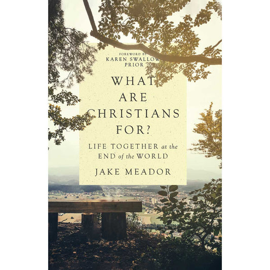 What Are Christians For?: Life Together At The End Of The World (Hardcover)