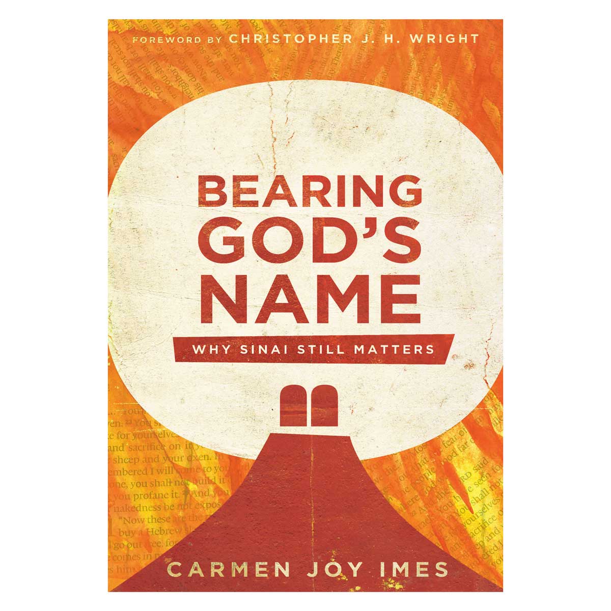 Bearing God's Name: Why Sinai Still Matters (Paperback)