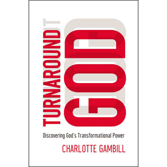 Turn Around God (Paperback)