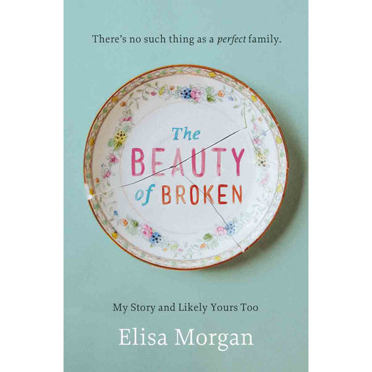 Beauty Of Broken (Paperback)