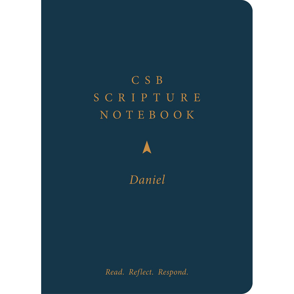 CSB Scripture Notebook Daniel: Read Reflect Respond (Paperback)