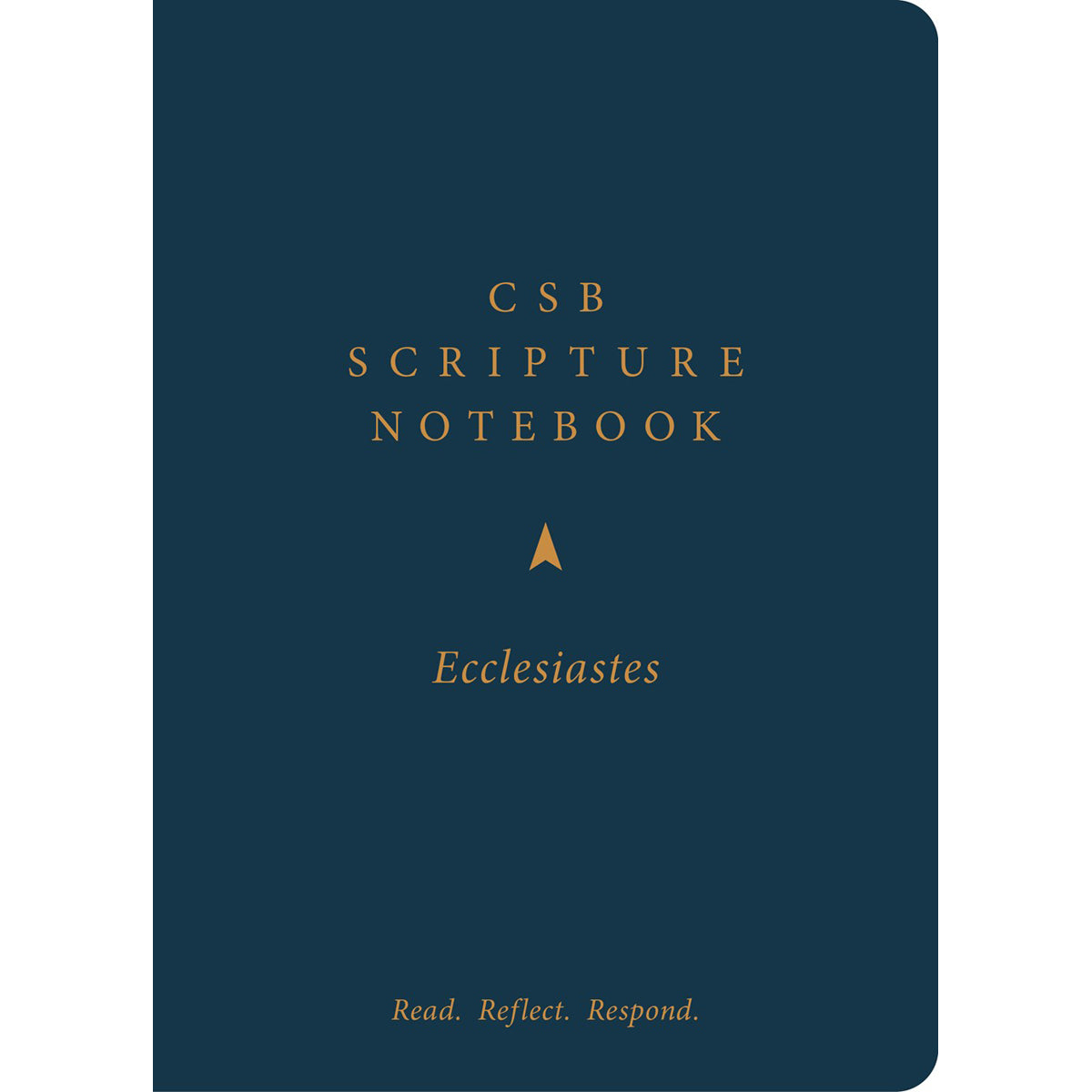 CSB Scripture Notebook Ecclesiastes: Read Reflect Respond (Paperback)